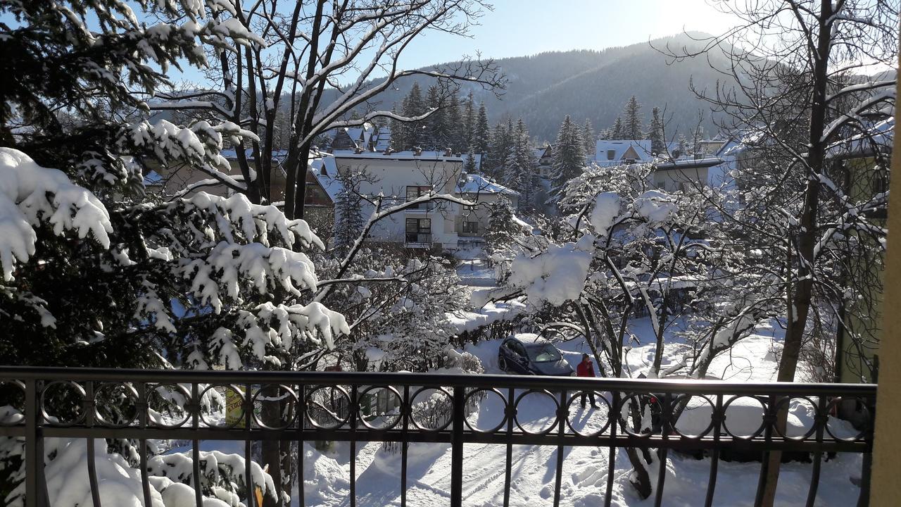 Willa Iskra Zakopane Esterno foto