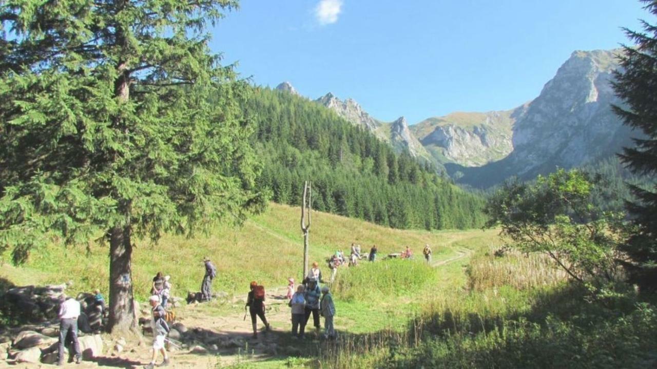 Willa Iskra Zakopane Esterno foto